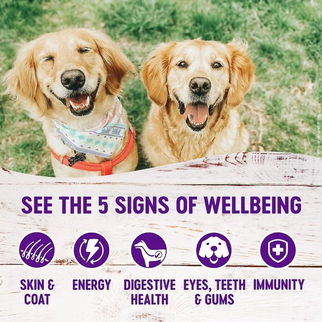 Wellness Large Breed Complete Health Adult Deboned Chicken & Brown Rice Recipe Dry Dog Food + Chicken Stew with Peas & Carrots Grain-Free Canned Food 9 Wellness Large Breed Complete Health Adult Deboned Chicken & Brown Rice Recipe Dry Dog Food + Chicken Stew with Peas & Carrots Grain-Free Canned Food - Image 7