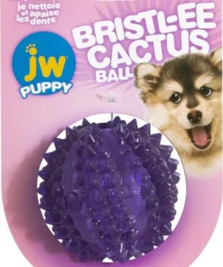 JW Pet Bristly Cactus Ball Dog Toy, Purple