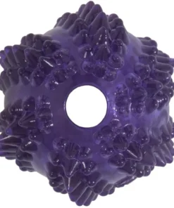 JW Pet Bristly Cactus Ball Dog Toy, Purple -JW Pet Sales 2024 369096 PT2. SY630 V1646668892