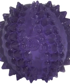 JW Pet Bristly Cactus Ball Dog Toy, Purple -JW Pet Sales 2024 369096 PT4. SY630 V1646696841