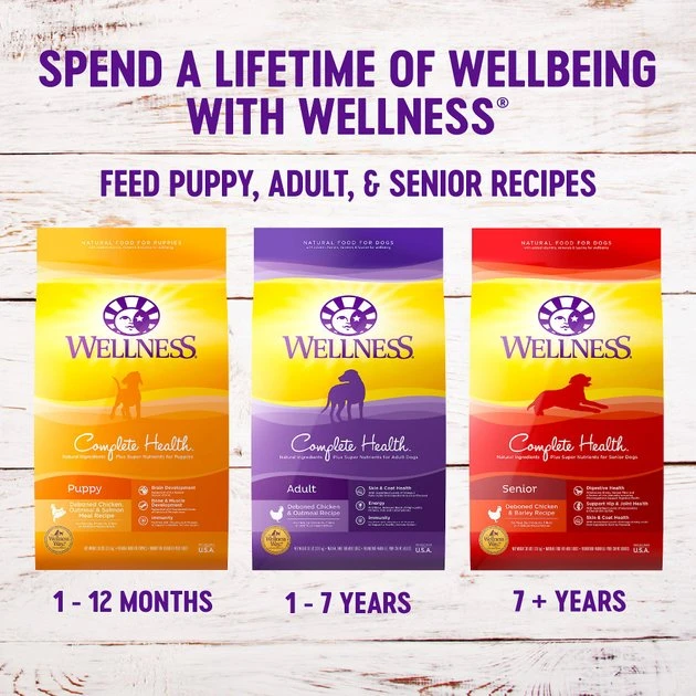 Wellness Large Breed Complete Health Puppy Deboned Chicken, Brown Rice & Salmon Meal Recipe Dry Dog Food 9 Wellness Large Breed Complete Health Puppy Deboned Chicken, Brown Rice & Salmon Meal Recipe Dry Dog Food - Image 7
