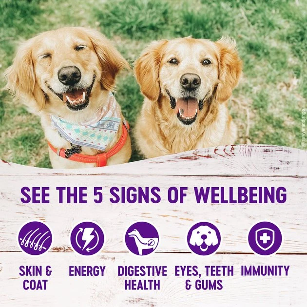 Wellness Complete Health Chicken & Sweet Potato Formula Canned Dog Food, 12.5-oz, case of 12 Wellness Complete Health Chicken & Sweet Potato Formula Canned Dog Food -JW Pet Sales 2024 49201 PT2. SY630 V1606866729