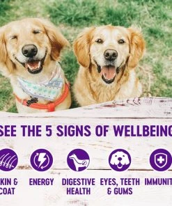 Wellness Complete Health Just for Puppy Canned Dog Food -JW Pet Sales 2024 49210 PT2. SY630 V1606865230