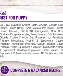 Wellness Complete Health Just for Puppy Canned Dog Food -JW Pet Sales 2024 49210 PT3. SY630 V1606873031