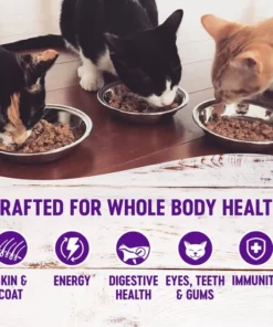 Wellness Complete Health Chicken & Herring Formula Grain-Free Canned Cat Food -JW Pet Sales 2024 49263 PT2. SY630 V1594830968