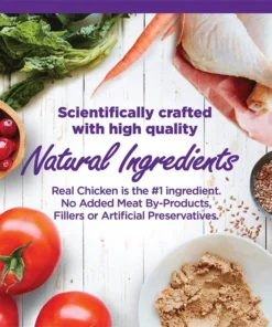 Wellness Complete Health Kitten Chicken Entrée Recipe Canned Wet Cat Food 13 Wellness Complete Health Kitten Chicken Entrée Recipe Canned Wet Cat Food -JW Pet Sales 2024 49274 PT2. SY630 V1635478597