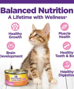 Wellness Complete Health Kitten Chicken Entrée Recipe Canned Wet Cat Food 14 Wellness Complete Health Kitten Chicken Entrée Recipe Canned Wet Cat Food -JW Pet Sales 2024 49274 PT3. SY630 V1635432413