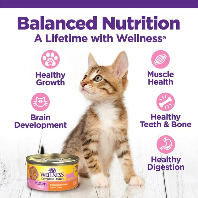 Wellness Complete Health Kitten Chicken Entrée Recipe Canned Wet Cat Food 6 Wellness Complete Health Kitten Chicken Entrée Recipe Canned Wet Cat Food - Image 4