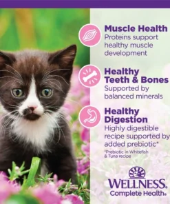 Wellness Complete Health Kitten Chicken Entrée Recipe Canned Wet Cat Food 16 Wellness Complete Health Kitten Chicken Entrée Recipe Canned Wet Cat Food -JW Pet Sales 2024 49274 PT5. SY630 V1635434815