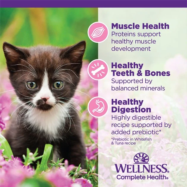 Wellness Complete Health Kitten Chicken Entrée Recipe Canned Wet Cat Food 8 Wellness Complete Health Kitten Chicken Entrée Recipe Canned Wet Cat Food - Image 6