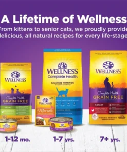 Wellness Complete Health Kitten Chicken Entrée Recipe Canned Wet Cat Food 17 Wellness Complete Health Kitten Chicken Entrée Recipe Canned Wet Cat Food -JW Pet Sales 2024 49274 PT6. SY630 V1635437211