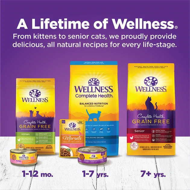 Wellness Complete Health Kitten Chicken Entrée Recipe Canned Wet Cat Food 9 Wellness Complete Health Kitten Chicken Entrée Recipe Canned Wet Cat Food - Image 7
