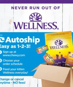 Wellness Complete Health Kitten Chicken Entrée Recipe Canned Wet Cat Food 18 Wellness Complete Health Kitten Chicken Entrée Recipe Canned Wet Cat Food -JW Pet Sales 2024 49274 PT7. SY630 V1635476261