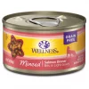 Wellness Complete Health Natural Minced Salmon Dinner Grain-Free Canned Cat Food -JW Pet Sales 2024 52112 MAIN. SY630 V1636499485