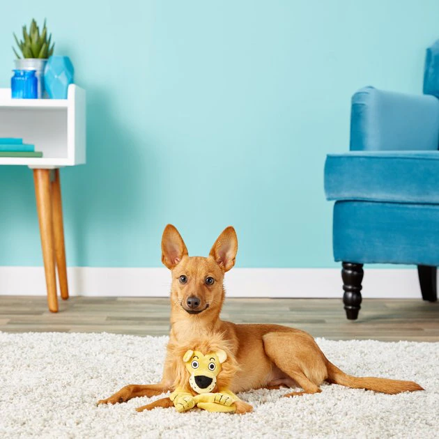 JW Pet Crackle Heads Leroy the Lion Dog Toy 4 JW Pet Crackle Heads Leroy the Lion Dog Toy - Image 2