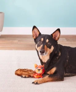 JW Pet Crackle Heads Skippy the Squirrel Dog Toy -JW Pet Sales 2024 53335 PT3. SY630 V1530909935