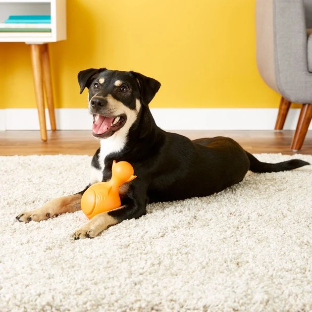 JW Pet Ruffians Fish Squeaky Dog Toy, Color Varies JW Pet Ruffians Fish Squeaky Dog Toy, Color Varies -JW Pet Sales 2024 53408 PT1. SY630 V1531446449