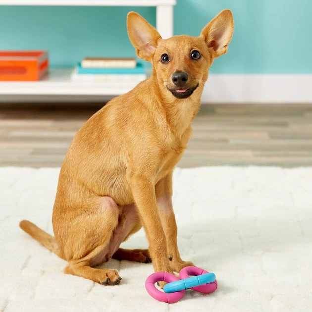 JW Pet Invincible Chains Triple Dog Toy, Color Varies, X-Small JW Pet Invincible Chains Triple Dog Toy, Color Varies -JW Pet Sales 2024 53427 PT8. SY630 V1505745298