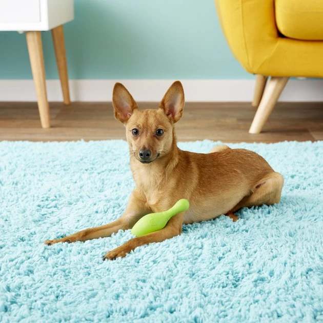 JW Pet iSqueak Bouncin' Bowlin' Pin Dog Toy, Color Varies 4 JW Pet iSqueak Bouncin' Bowlin' Pin Dog Toy, Color Varies - Image 2