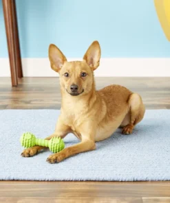 JW Pet Chompion Dog Toy, Color Varies -JW Pet Sales 2024 71024 PT4. SY630 V1531507051