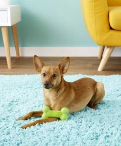 JW Pet iSqueak Bone Dog Toy, Color Varies -JW Pet Sales 2024 71045 PT4. SY630 V1531507652