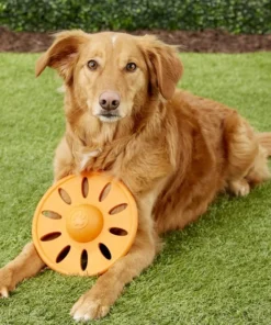 JW Pet Whirlwheel Flying Disk Dog Toy, Color Varies -JW Pet Sales 2024 71070 PT4. SY630 V1531508852
