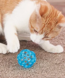 JW Pet Cataction Lattice Ball Cat Toy -JW Pet Sales 2024 73715 PT5. SY630 V1525718983