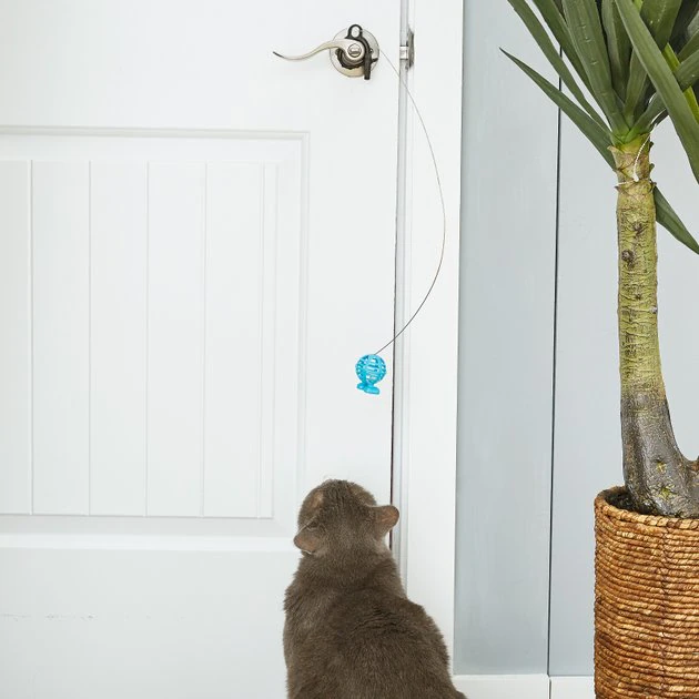 JW Pet Cataction Door Knob Teaser with Lattice Cuz Cat Toy 5 JW Pet Cataction Door Knob Teaser with Lattice Cuz Cat Toy - Image 3