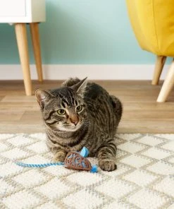 JW Pet Cataction Mouse Cat Toy 5 JW Pet Cataction Mouse Cat Toy -JW Pet Sales 2024 80960 PT5. SY630 V1525719462