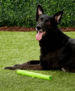 JW Pet Bamboo Stick Dog Toy, Color Varies -JW Pet Sales 2024 80997 PT3. SY630 V1531517527