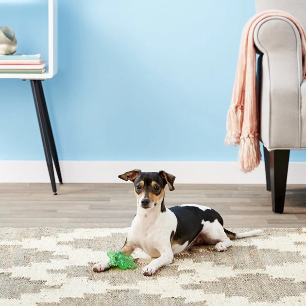 JW Pet Play Place Butterfly Puppy Teether, Color Varies 4 JW Pet Play Place Butterfly Puppy Teether, Color Varies - Image 2