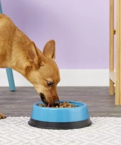 JW Pet Skid Stop Basic Pet Bowls, Color Varies -JW Pet Sales 2024 83913 PT8. SY630 V1542654245