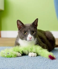 JW Pet Cataction Featherlite Catnip Boa Squeaking Cat Toy, Color Varies -JW Pet Sales 2024 83999 PT5. SY630 V1525718004