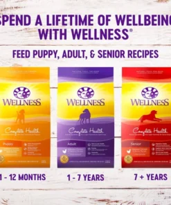 Wellness Complete Health Adult Lamb & Barley Recipe Dry Dog Food -JW Pet Sales 2024 95659 PT6. SY630 V1627506389